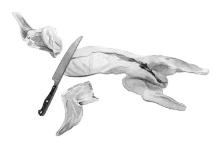 black and white illustrations of a rabbit carcass with the forelegs cut off with a&hellip;